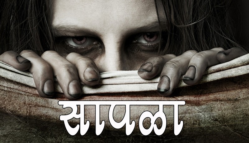 सापळा