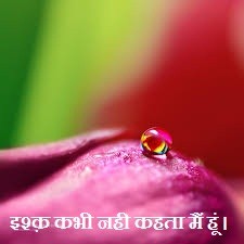 इश्क़ कभी नही कहता मैं हूं