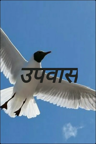 उपवास