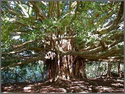 রূপকথা