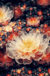 தயிர்சாதம்