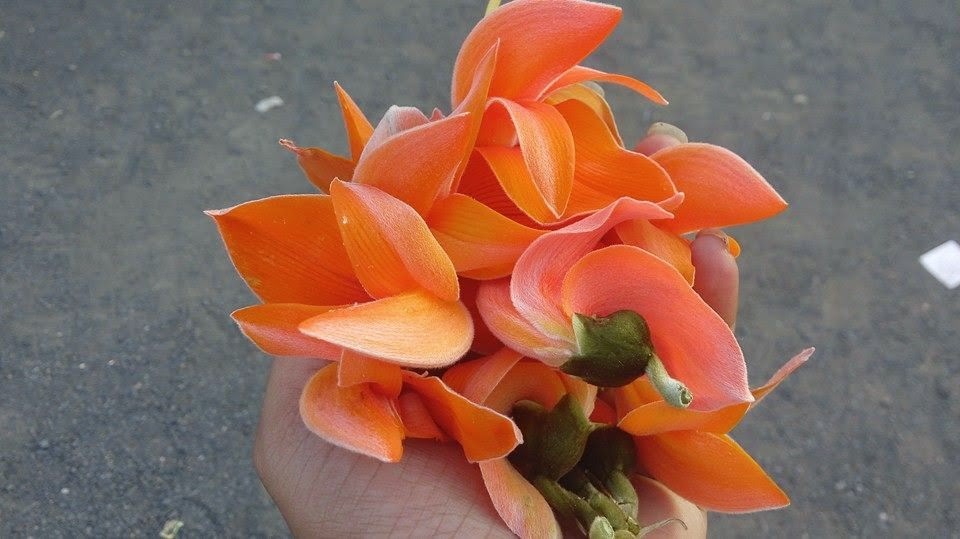मेरे घर आना जिंदगी ...