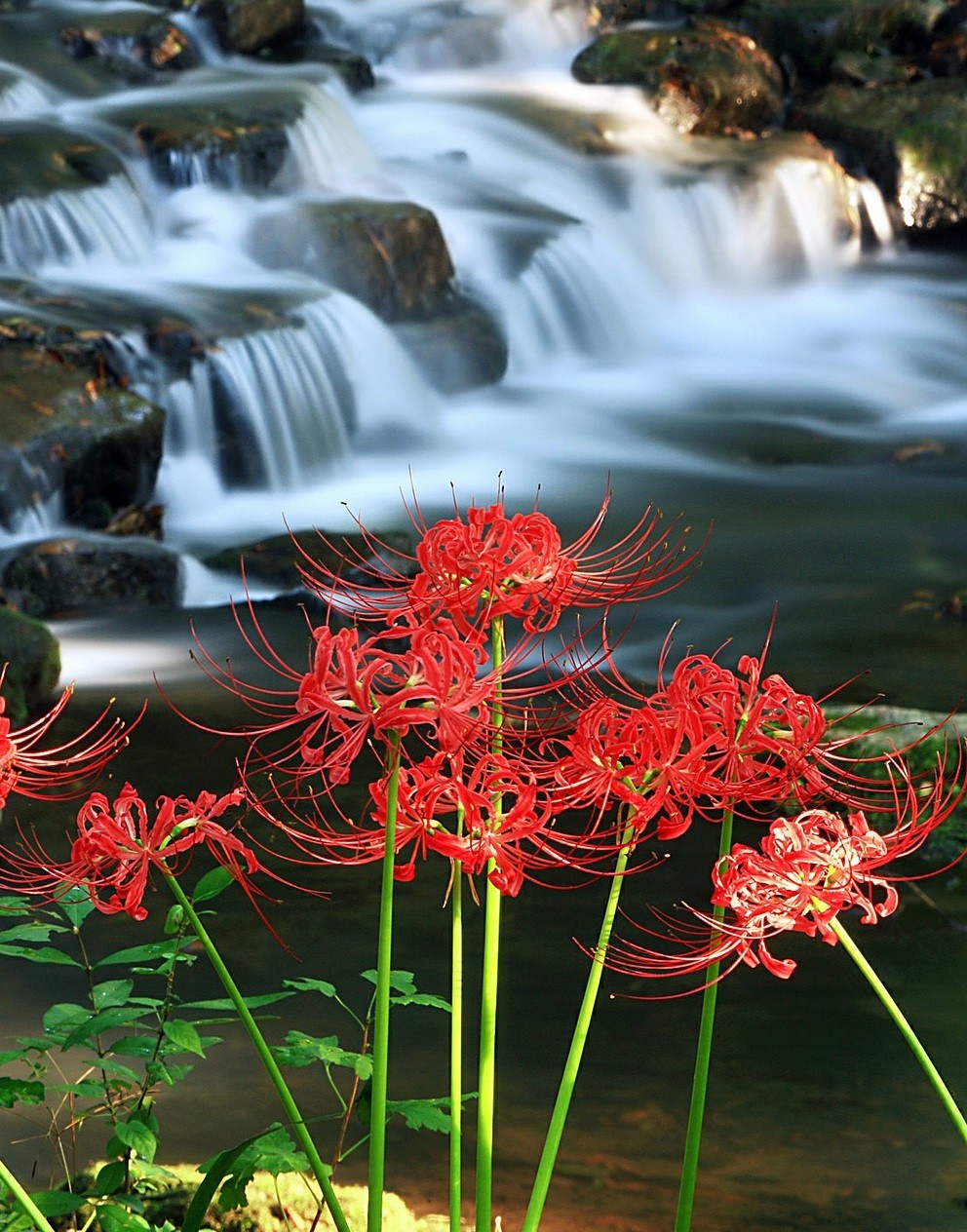 ഇനിയുമൊരു കഥ