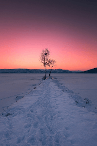 खून के रिश्ते