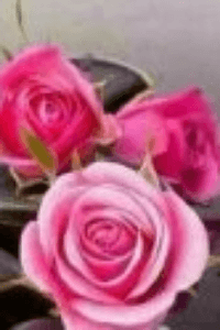 ಮೌನದ ಸರಪಳಿ