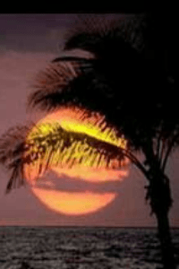 "ಬದುಕಲ್ಲಿ ನಯನ"