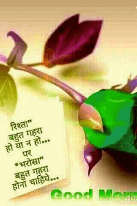 રાજુ માલવીયા