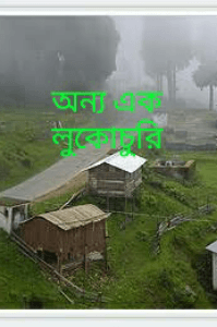 অন‍্য এক লুকোচুরি