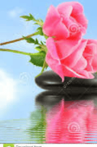 ಕಲ್ಲರಳಿ ಹೂವಾಗಿ ೧೦
