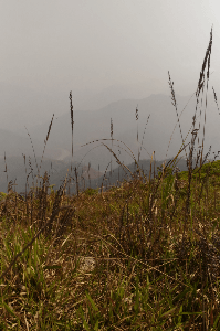 পূর্বজন্মের প্রতিক্ষায়...