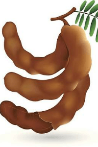 പുളിങ്ങ