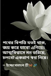 এসেন্স অফ সংসার