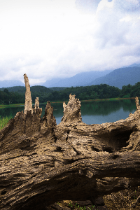 ഒരു പ്രകാശത്തിന് വേണ്ടിയുള്ള കാത്തിരിപ്പ്
