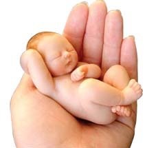 स्त्री भ्रूण हत्या