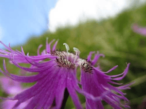 বৃষ্টি ও আমাদেরকে  কথা