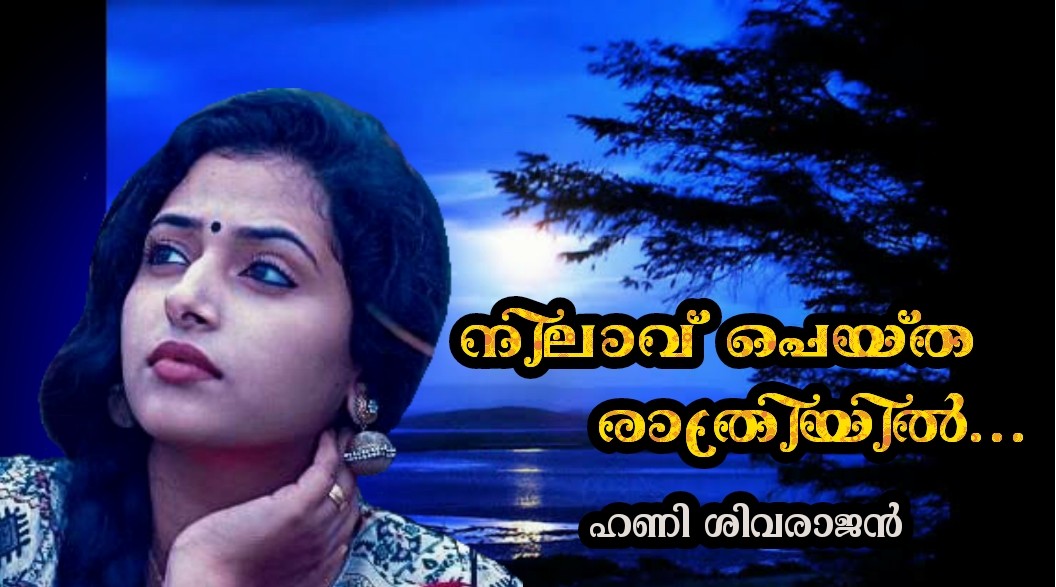 നിലാവ് പെയ്ത രാത്രിയില്‍  ♥️ (ഭാഗം - 1)