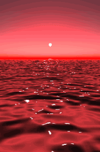 নষ্ট নীড়