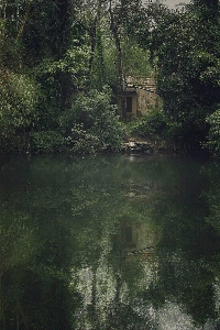 നിന്നെയും കാത്ത്