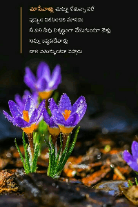 పురాణ కాలక్షేపం