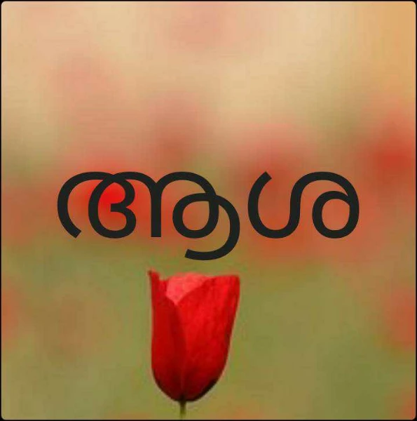 കഥകൾ
