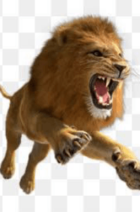 How to stay motivated?