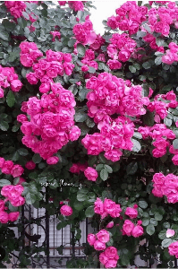 unnadhi okate jeevitham