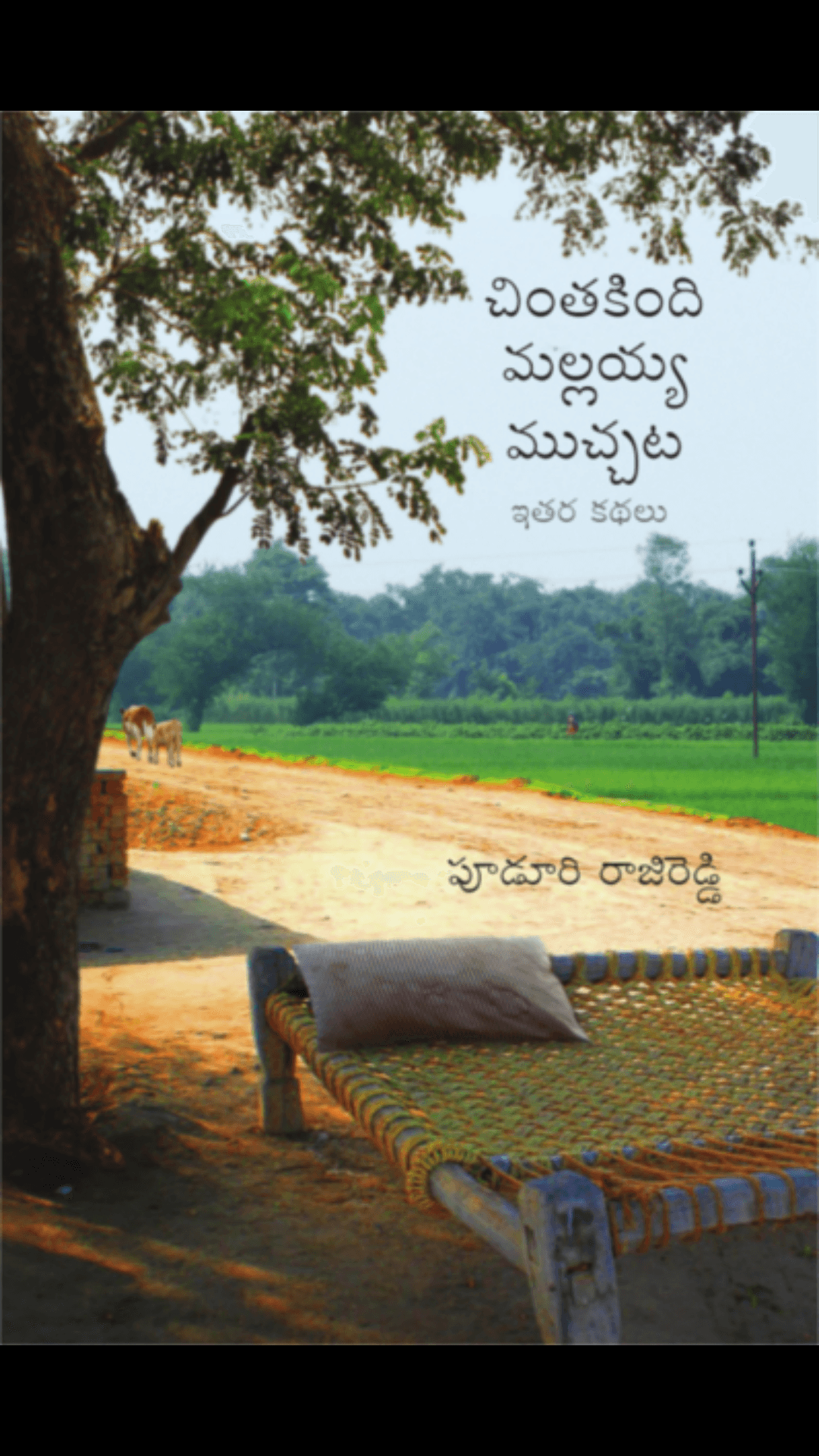 Review of Chintakindi Mallaiah and Other Stories