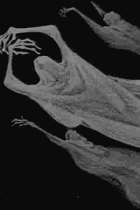 सफेद भूत