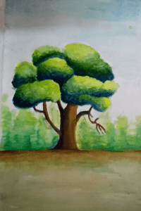 நாட்டுப்புற. கதைகள்  (2) ( துருக்கி )