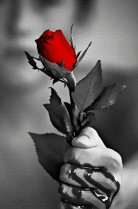 ഒരിക്കൽക്കൂടി