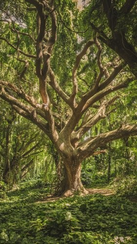 বিষবৃক্ষ
