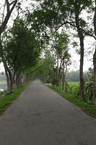 মুক্ত জীবন