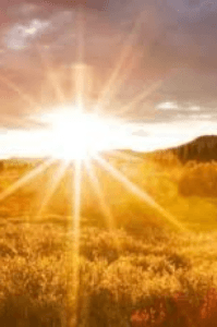 गुजारिस....