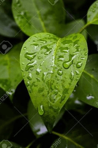 Waiting For That Love Rain