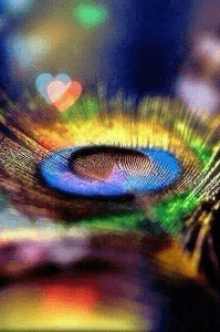 પ્રેમ કહાની