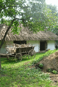 குடிசை  வீடு