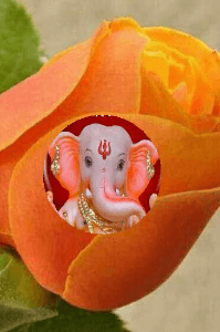 ಅರ್ಥದ ಮೀನಿಂಗ್ ಅರಿಯೋಣವೇ?!? (ಕಿರುಬರಹ)