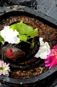 सावन का महीना,पवन करे शोर