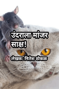 उंदराला मांजर साक्ष!