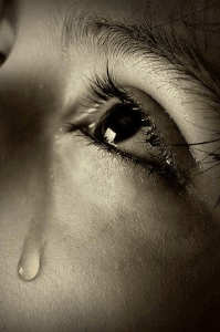 ವಂದನಾರ್ಪಣೆ