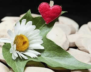 ಹೃದಯ