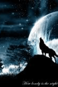 মধ্যরাত্রি 2