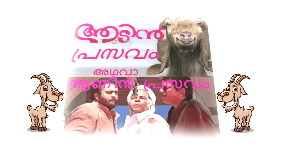 ആടിൻ പ്രസവം അഥവാ ആണിൻ പ്രസവം