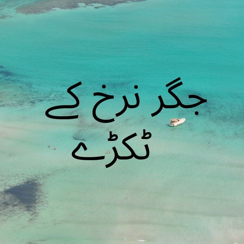 جگرنرخ کے ٹکڑے