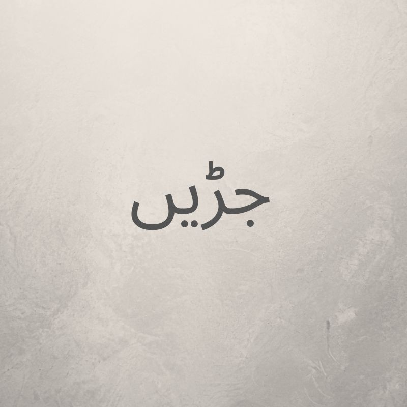 جڑیں