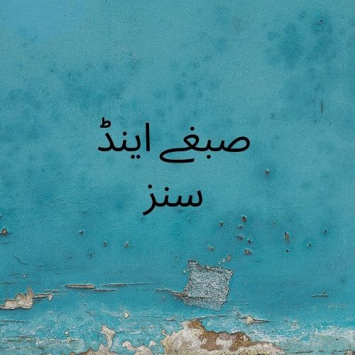 صبغے اینڈ سنز