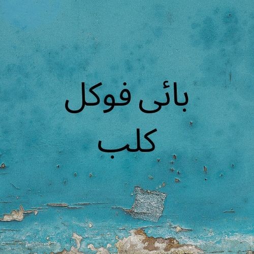 بائی فوکل کلب