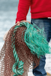 જાળ (તરી કાવ્ય - ૧૫)