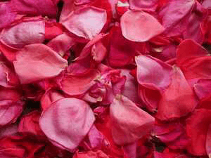 অনুভূতি