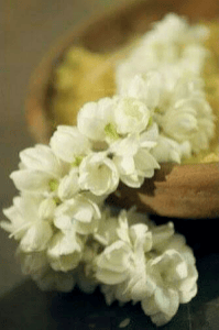 ನಾಚಿಕೆ